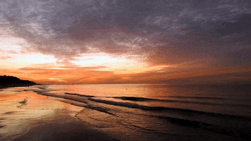 Water GIF