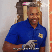 Say That Again Mike Jackson GIF by HGTV