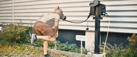 Horse Charging GIF by smart-me