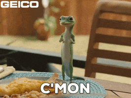 Come On Please GIF by GEICO