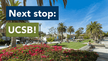 Ucsb GIF by UC Santa Barbara