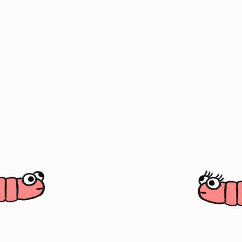 Valentines Day Love GIF