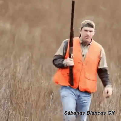 sabanas-blancas-universe  GIF