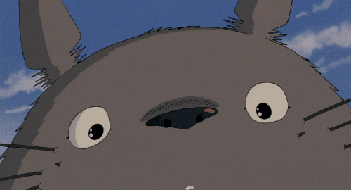 Happy Hayao Miyazaki GIF by Maudit - Find & Share on GIPHY