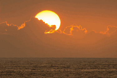 Sunset GIF by vrammsthevale - Find & Share on GIPHY