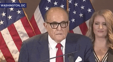 No I Didnt Press Conference GIF by GIPHY News
