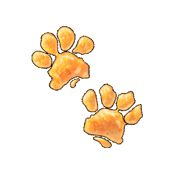 The Paddington Bear™ Experience Sticker