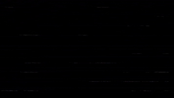 Bear GIF