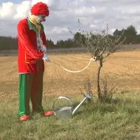 https://media3.giphy.com/media/dQPmOdnDp4Q5G/200w.webp