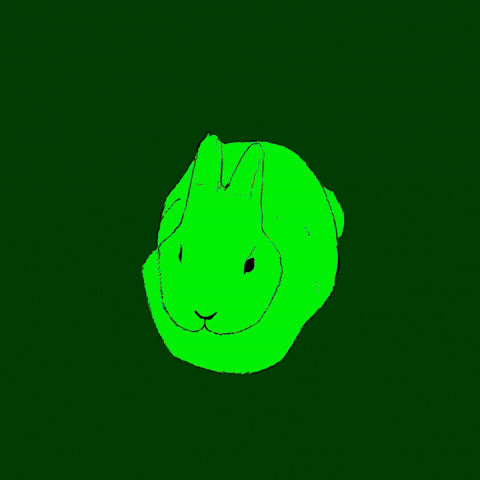 Bunny Dance GIF