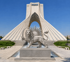 Lion Israel GIF