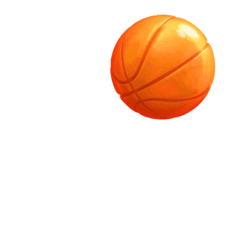 Lebron James Basketball Sticker by King