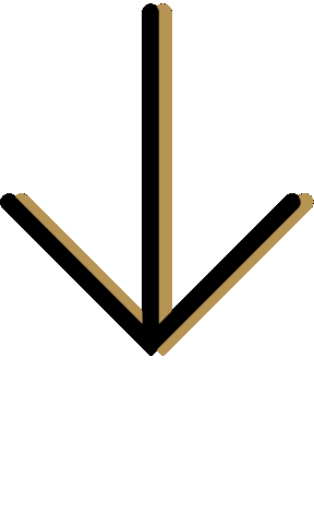 meet pablo art Sticker