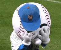 Yankees-suck GIFs - Get the best GIF on GIPHY