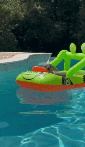StripeH water vacation float pool day GIF