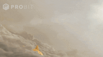 Spacex GIFs - Find & Share on GIPHY