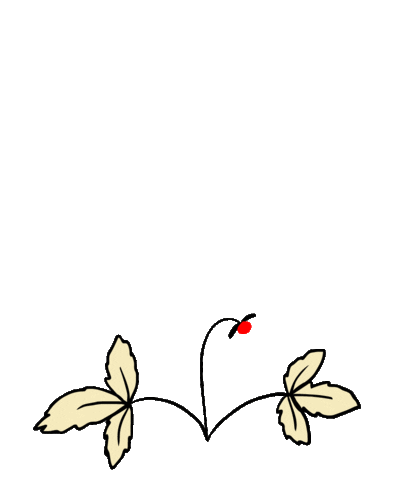Heart Love Sticker