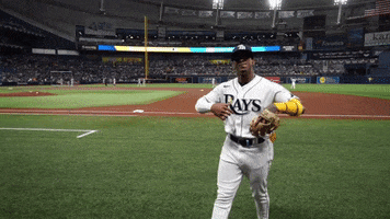 Tampa Bay Baseball GIF by MLB