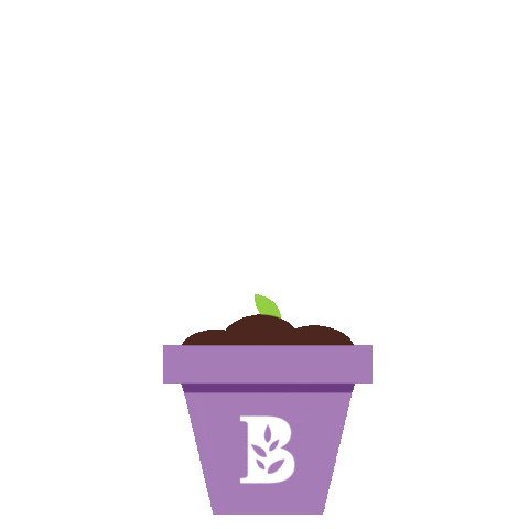 Flower Grow Sticker By Bachman'S Floral, Gif