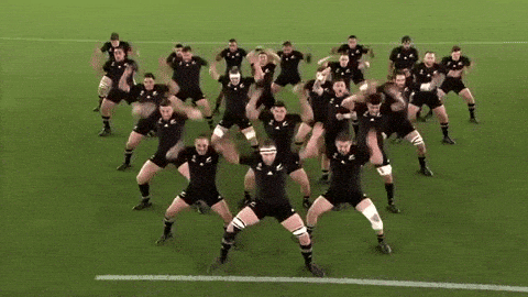 Read New Zealand GIF by Rugby World Cup