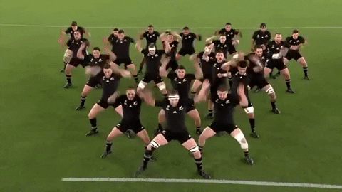 All Blacks GIFs - Get the best GIF on GIPHY