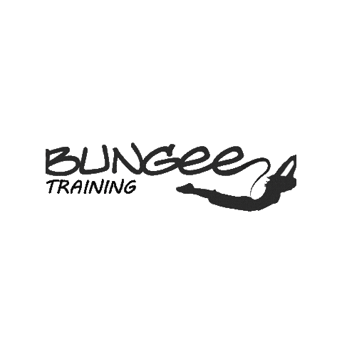 BUNGEE TRAINING ARGENTINA Sticker