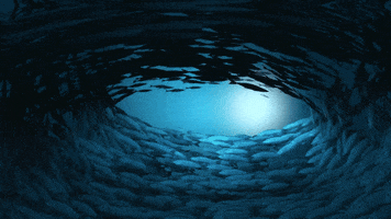 cutoutanimationstudio animation underwater motion design pop up GIF