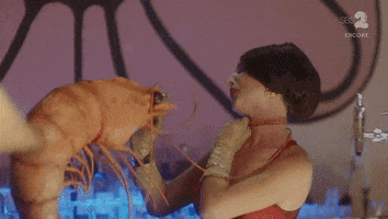 shrimp dancing GIF