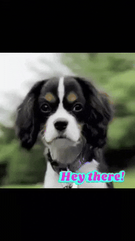 Wink Hello GIF