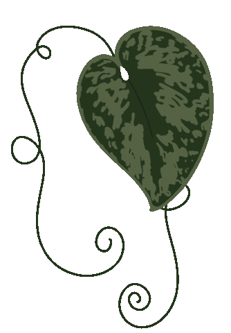 Revivelashco Sticker