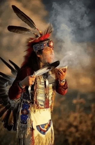 Aho GIF