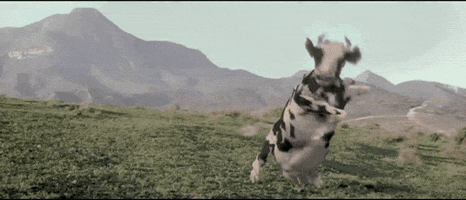 Fight GIF