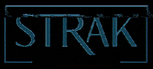 Strak123 GIF by Strak Institute