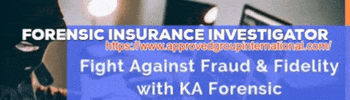 Forensic Insurance Investigator GIF