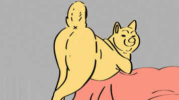 Shiba Butt GIFs - Get the best GIF on GIPHY
