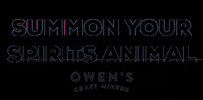 Owen's Craft Mixers GIF