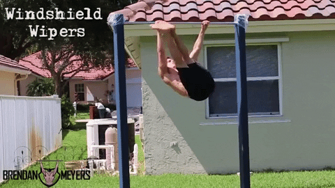 Windshield Wipers GIF - Find & Share on GIPHY