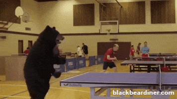 BlackBearDiner bear score bears pingpong GIF