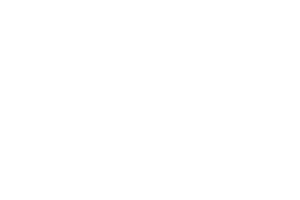Wagyu Sticker