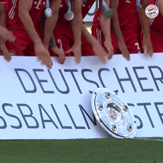 Football Celebration GIF by FC Bayern Munich