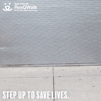 Save Them All Step Up GIF by Best Friends Animal Society
