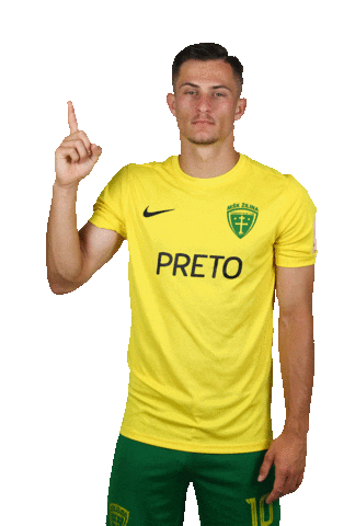 MŠK Žilina Sticker