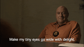 Hank Schrader Delight GIF by Better Call Saul