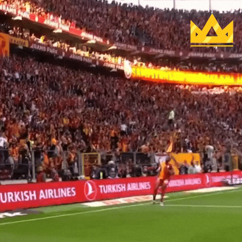 Victor Osimhen GIF by Kral