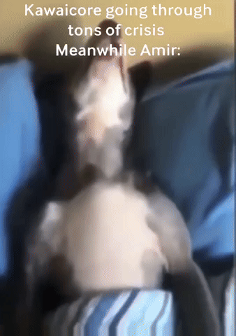 Kawaicore Going Through Tons Of Crisis Meanwhile Amir GIF