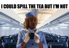 RobertEBlackmon tea airplane spill the tea robert e blackmon GIF