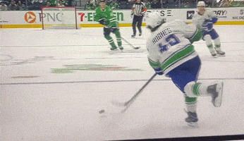 Vancouver Canucks GIF