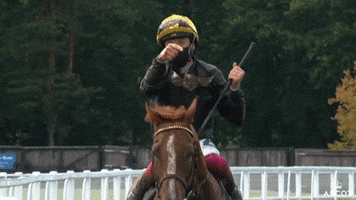 Horse Racing Look GIF by Ascot Racecourse