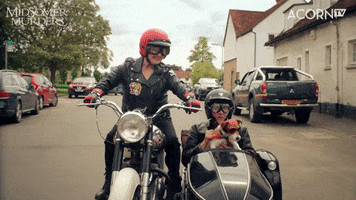 Lets Go Lol GIF by Acorn TV