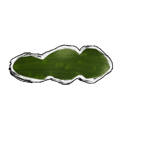 Animated Sticker